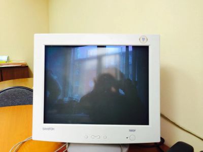 Лот: 4533594. Фото: 1. Монитор старого образца. ЭЛТ-мониторы