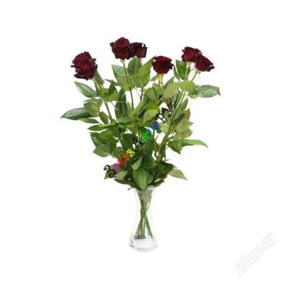 Лот: 1035567. Фото: 1. Роза Black Baccara темно красного... Другое (растения и животные)