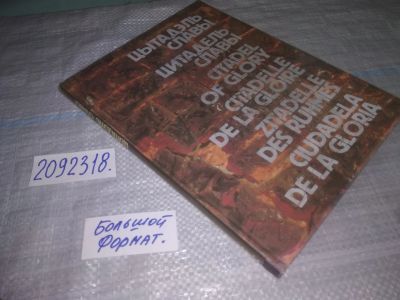 Лот: 25000420. Фото: 1. (2092318)Цитадель славы. Альбом... История