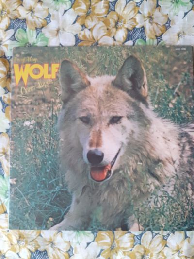 Лот: 20361213. Фото: 1. lp винил wolf прогрок. Аудиозаписи