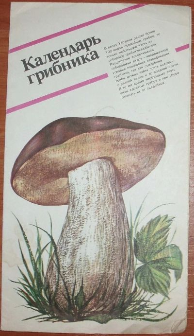 Лот: 18768754. Фото: 1. Календарь грибника. 1986. Сад, огород, цветы