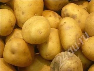 Лот: 210984. Фото: 1. Картофель Андретта. Очень вкусный... Овощи, фрукты, зелень