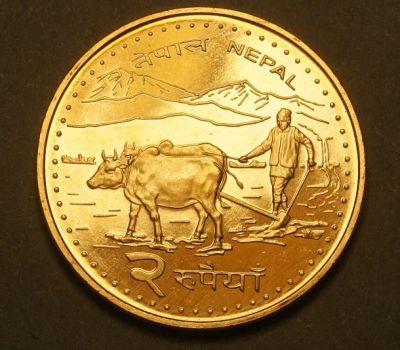 Лот: 9846924. Фото: 1. Непал 2 рупии 2006 Буйволы Эверест... Азия