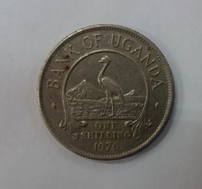 Лот: 19959323. Фото: 1. Монета Уганда 1 шиллинг 1976г. Африка