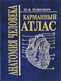 Лот: 3423102. Фото: 1. Книга "Анатомия человека. Карманный... Справочники