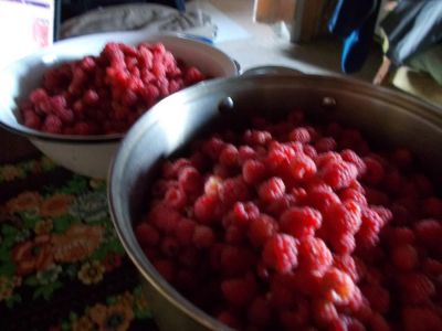 Лот: 7887057. Фото: 1. продам малину от 5 литров, возможна... Ягоды, орехи
