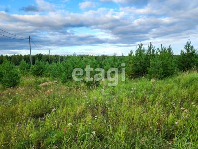 Лот: 25296260. Фото: 1. участок , Красноярск Красноярск... Земельные участки