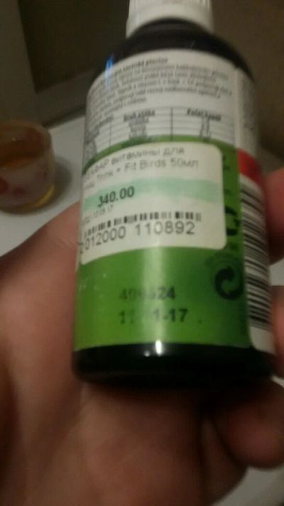 Лот: 11070229. Фото: 1. Для попугаев. Птицы