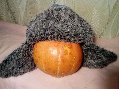Лот: 14983726. Фото: 1. Шапка зимняя. Головные уборы