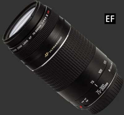 Лот: 7742324. Фото: 1. canon-ef75-300mm-f-4-5.6. Объективы