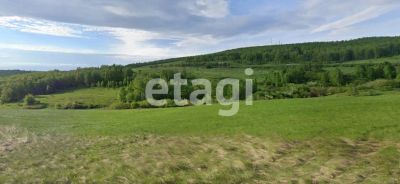 Лот: 21173877. Фото: 1. Продам участок 843.3 сот. Новосибирское... Земельные участки