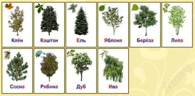 Лот: 2253148. Фото: 1. Карточки Домана, ламинированные... Развивающие