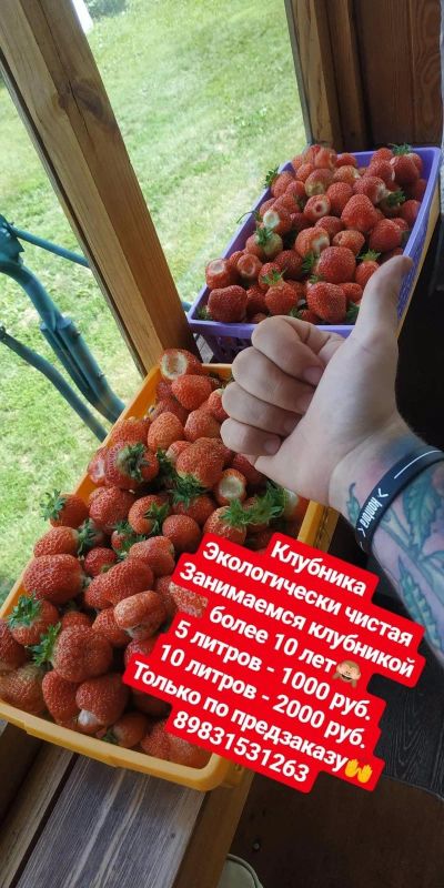 Лот: 2969237. Фото: 1. Клубника!. Ягоды, орехи