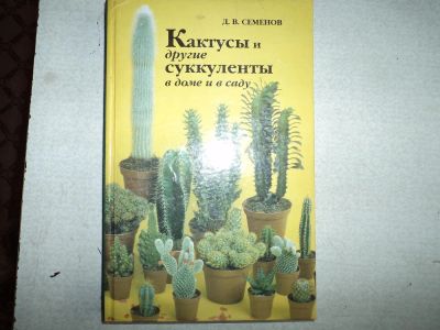 Лот: 10572746. Фото: 1. кактусы. Сад, огород, цветы