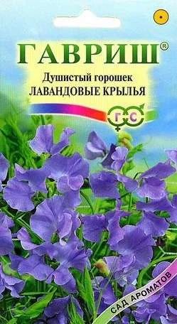 Лот: 11024263. Фото: 1. Горошек Лавандовые крылья Душистый... Садовые цветы