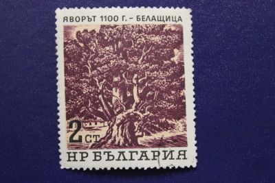 Лот: 8530495. Фото: 1. Почтовая марка №6209 в коллекцию. Марки