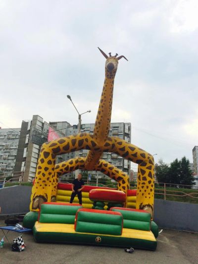 Лот: 5819471. Фото: 1. Батут. Другое (оборудование)