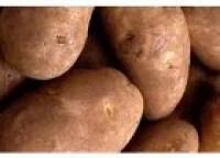 Лот: 4503132. Фото: 1. Картошка свежего урожая мешок... Картофель