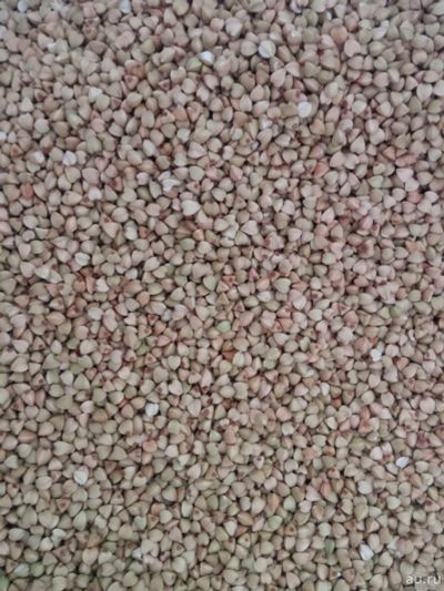 Лот: 16254402. Фото: 1. Зелёная гречка для проращивания... Крупы, сыпучие продукты