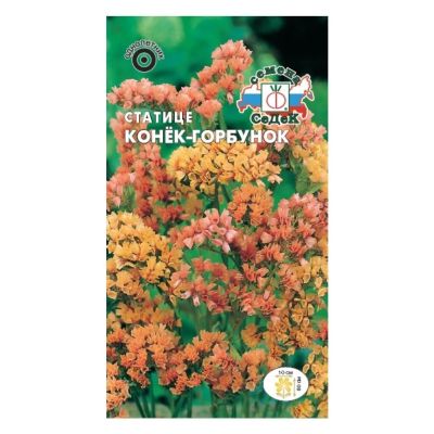 Лот: 24079304. Фото: 1. Семена Цветы, Статице, Конек-Горбунок... Другое (семена, рассада, садовые растения)