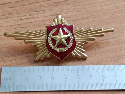 Лот: 25122562. Фото: 1. Знак Парадный расчет Сухопутные... Сувенирные