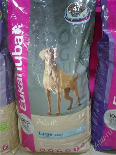 Лот: 2329891. Фото: 1. Eukanuba для взрослых собак крупных... Корма