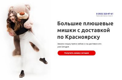 Лот: 11073357. Фото: 1. Действующий интернет-магазин Больших... Другое (готовый бизнес)