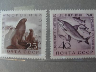 Лот: 4425388. Фото: 1. 1960. Рыбы и морские животные,. Марки