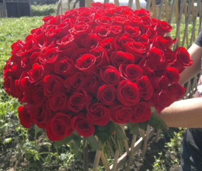 Лот: 2979058. Фото: 1. Доставка роз по Красноярску. Красноярск