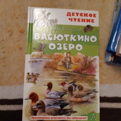 Лот: 23573609. Фото: 1. Книга. Художественная