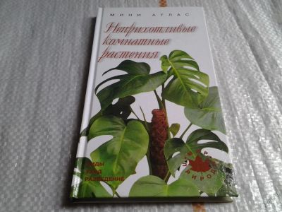 Лот: 5713444. Фото: 1. Неприхотливые комнатные растения... Сад, огород, цветы