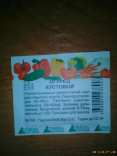 Лот: 9196754. Фото: 1. семена огурец кустовой. Овощи
