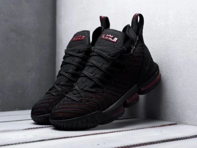 Лот: 12169418. Фото: 1. Кроссовки Nike Lebron XVI (11620... Кеды, кроссовки, слипоны