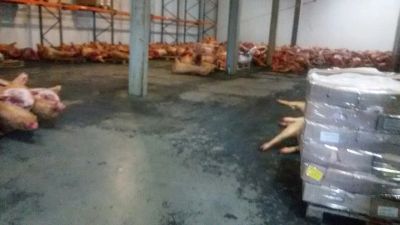 Лот: 7066968. Фото: 1. Продаем свинюшку. Мясо, птица, яйцо