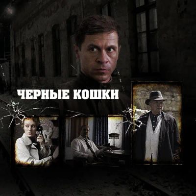 Лот: 24418787. Фото: 1. Черные кошки. Видеозаписи, фильмы