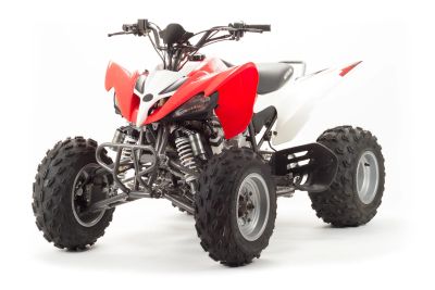 Лот: 16058113. Фото: 1. Квадроцикл Motoland ATV 250S. Снегоходы, квадроциклы