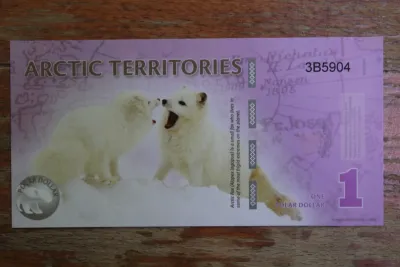 Лот: 21770343. Фото: 1. Арктические Территории. Арктика... Частные выпуски, копии банкнот