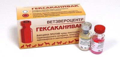 Лот: 25378152. Фото: 1. Гексаканивак, вакцина для собак... Лекарства для животных, ветеринарные препараты