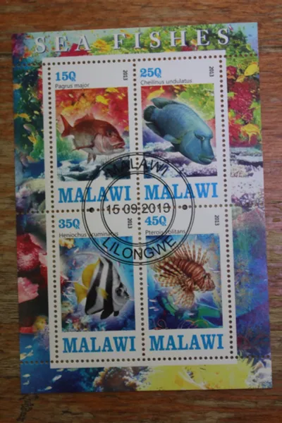 Лот: 21449810. Фото: 1. Малави 2013 Коралловые рыбки... Марки