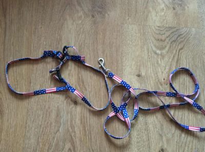 Лот: 7366296. Фото: 1. поводок. Ошейники, одежда, конное снаряжение