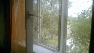 Лот: 6370513. Фото: 1. Сдам гостинку. Квартиры, студии