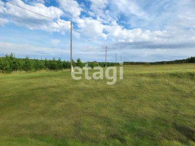 Лот: 25292275. Фото: 1. участок , Красноярск Красноярск... Земельные участки
