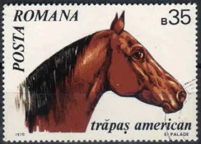 Лот: 21505894. Фото: 1. 1970. Румыния. Лошади. н.с... Марки