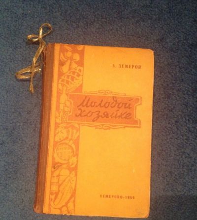 Лот: 6843538. Фото: 1. Книга "Молодой хозяйке" А.Земеров. Домоводство