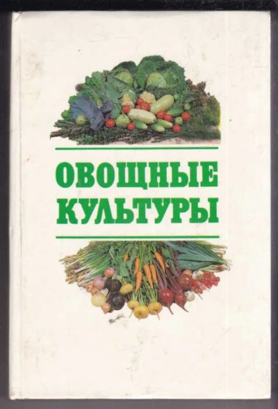 Лот: 23439091. Фото: 1. Овощные культуры. Сад, огород, цветы