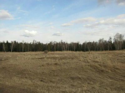 Лот: 11027932. Фото: 1. 10 га в емельяновском районе. Земельные участки