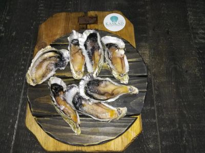 Лот: 10495941. Фото: 1. Устрицы. Икра, рыба, морепродукты