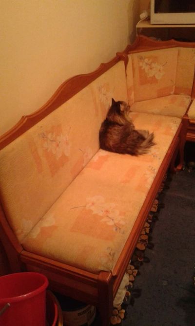 Лот: 5967122. Фото: 1. Уголок на кухню. Кухонные уголки