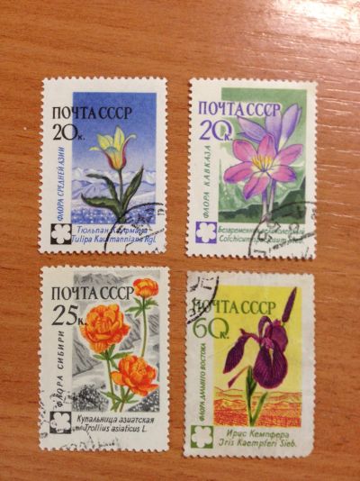 Лот: 5623914. Фото: 1. 1960 Флора СССР (2409, 2410, 2411... Марки