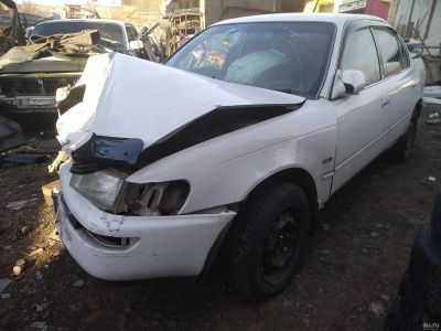 Лот: 13525064. Фото: 1. Corolla целиком. Автомобили